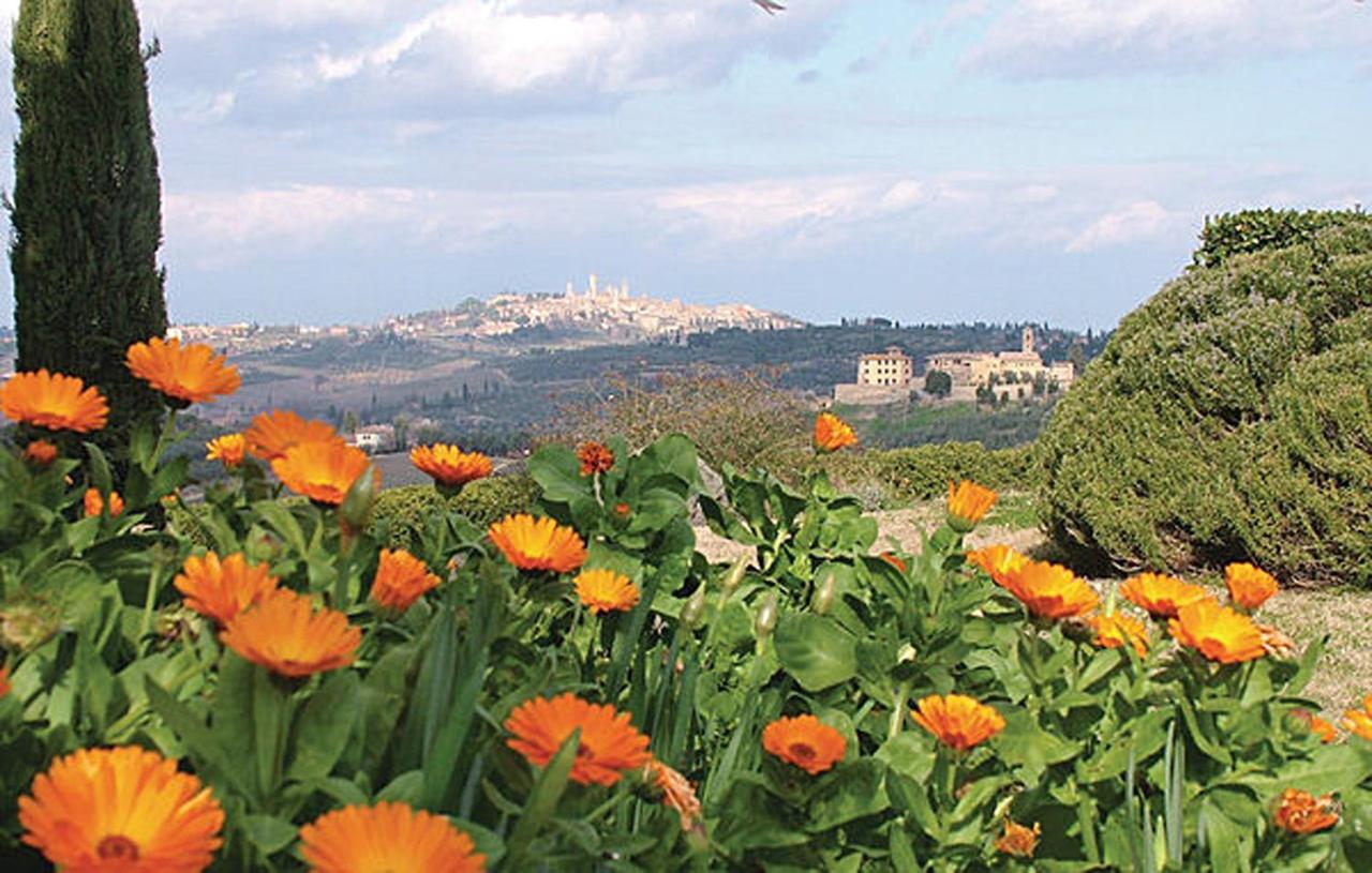 Agriturismo Fattoria Il Piano - Appartamento Stalla - San Gimignano Eksteriør bilde