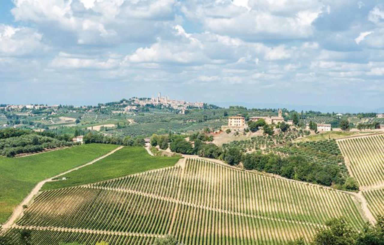 Agriturismo Fattoria Il Piano - Appartamento Stalla - San Gimignano Eksteriør bilde